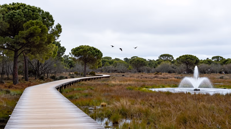 Aprobados Oposición Escala Agentes Medioambientales AGE 2026