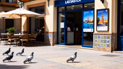 Concurso General Ministerio de Cultura 2026: Provisión de Puestos