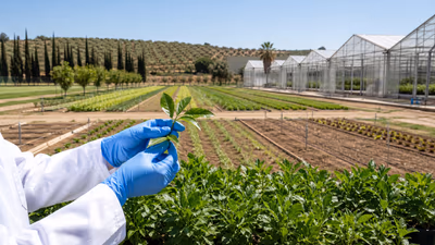 Contratos I+D+F Agraria: Convocatoria Instituto Andaluz 2026