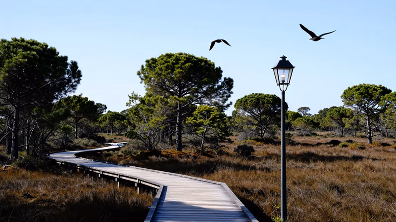 Lista de Aprobados Escala Titulados Grado Medio Ministerio Medio Ambiente 2026