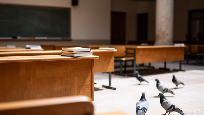 Nombramientos y resoluciones en Universidades de Cádiz y Granada 2026