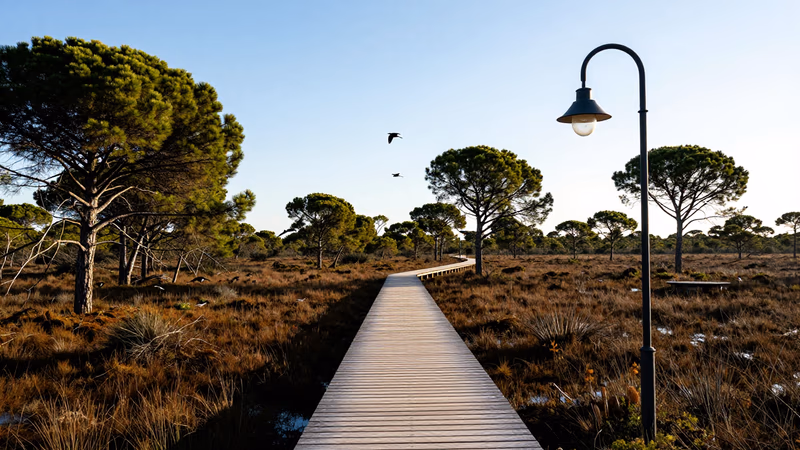 Nuevos Pliegos para Recursos Forestales en Andalucía 2026