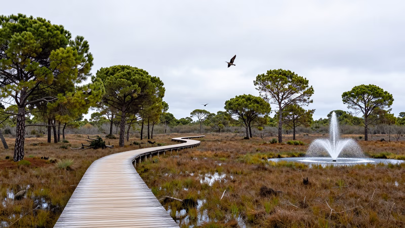 Oposición Técnico/a Medio Ambiente Sant Llorenç des Cardassar 2026: 1 plaza