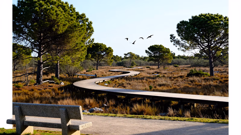 Oposiciones Ayuntamiento Martos 2026: 2 plazas (Técnico Iluminación y Monitor Medio Ambiente)