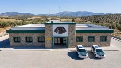 Oposiciones a la Guardia Civil: Requisitos, Pruebas y Preparación