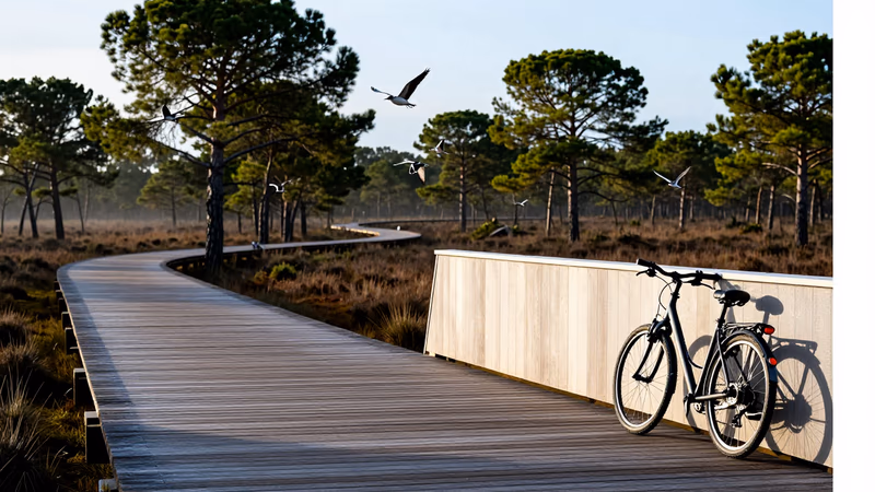 Anulación Convocatoria Medio Ambiente Madrid 2026: Puesto 35582