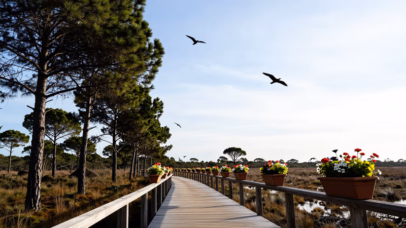 Resolución Técnicos Auxiliares A.E. Obras Públicas, Madrid 2026