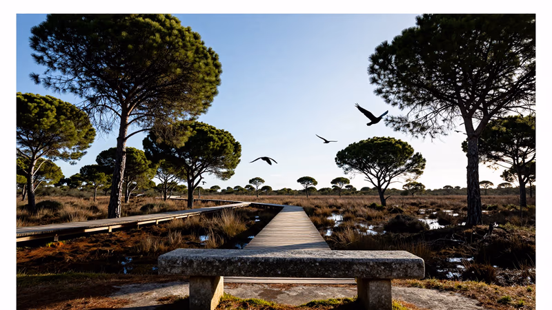 Resolución Concurso de Méritos Medio Ambiente Madrid 2026: 1 plaza