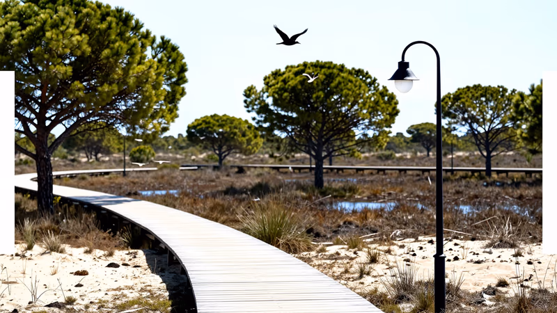 Resolución Concurso de Méritos Consejería Medio Ambiente Madrid 2026