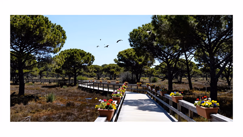 Convocatoria Libre Designación Medio Ambiente Madrid 2026: 1 plaza