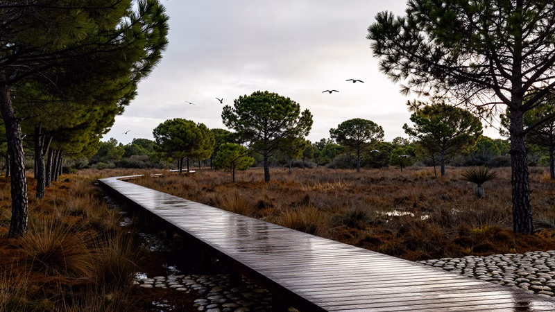 Resolución Puesto Libre Designación Consejería Medio Ambiente Madrid 2026