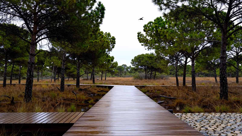 Resolución Concurso de Méritos Consejería Medio Ambiente Madrid 2026: 2 Puestos