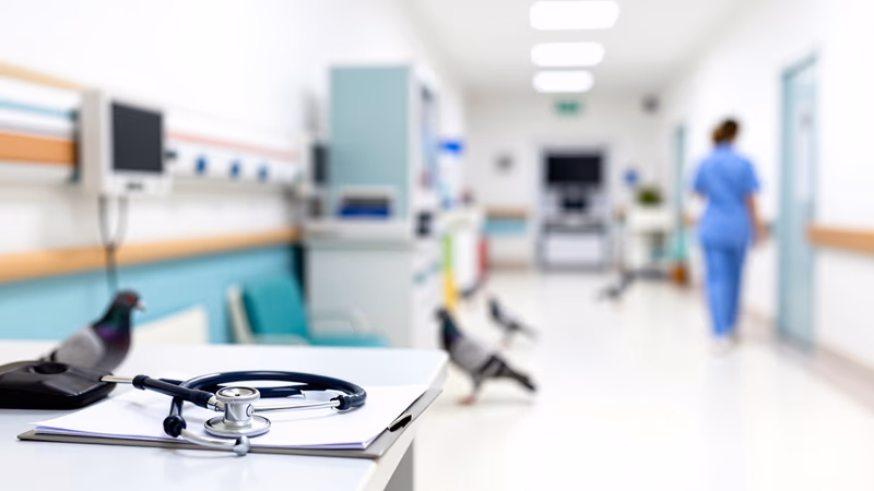 Jefe de Servicio de Régimen Jurídico en Área Sanitaria de Vigo 2026