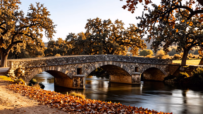 Concurso Traslado Psicólogo Clínico SES 2026: Adjudicación Provisional