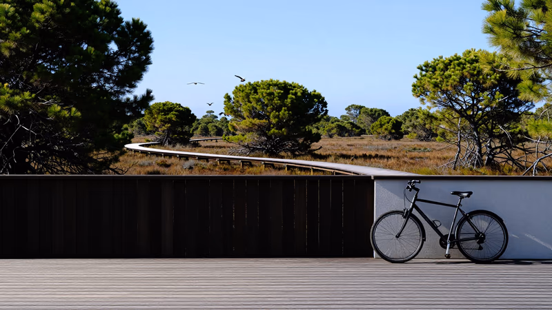 Empleo Ayuntamiento de Almonte 2026: 1 plaza de Técnico/a de Medio Ambiente