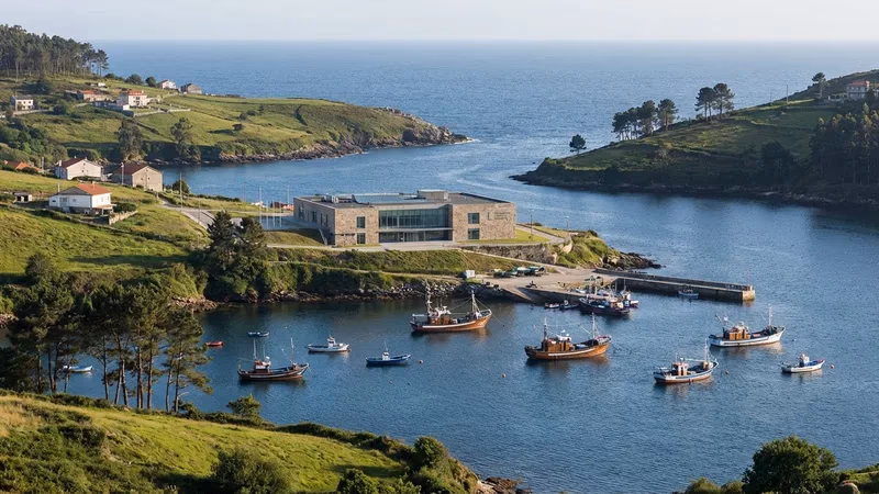 Oposiciones Galicia Limpieza y Cocina (AP) Discapacidad Intelectual 2026